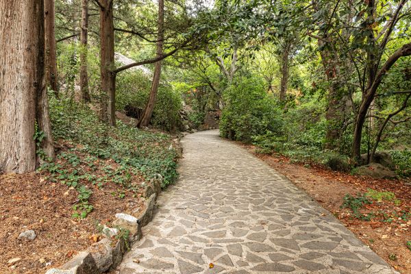 Stone Walkway Repair in Gastonia