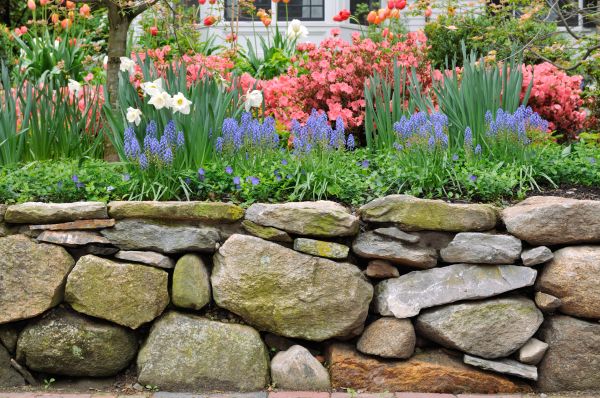 Stone Wall Hardscaping in Gastonia